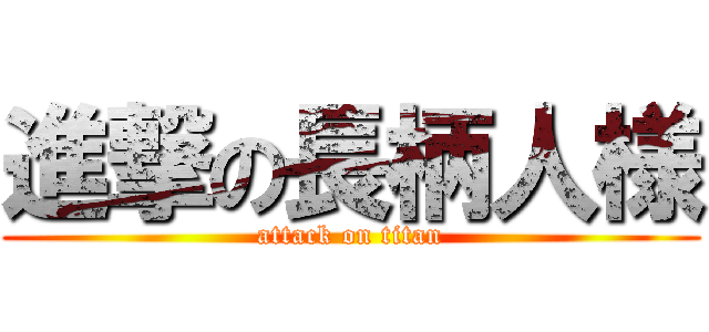 進撃の長柄人様 (attack on titan)
