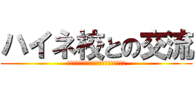 ハイネ校との交流 (フランクフルト日本人国際学校✖️ハイネ校)