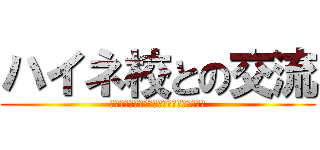 ハイネ校との交流 (フランクフルト日本人国際学校✖️ハイネ校)