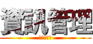 資訊管理 (學分必取組)