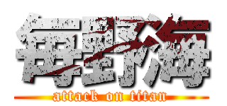 毎野海 (attack on titan)