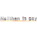 Ｎａｉｔｈａｎ ｉｓ ｇａｙ (Naithan is gay)