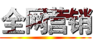 全网营销 ()