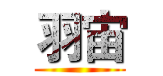羽宙 ()