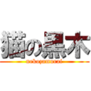 猫の黒木 (nekozamurai)