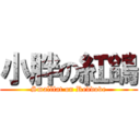 小胖の紅鴿 (Smallfat on Reddove)