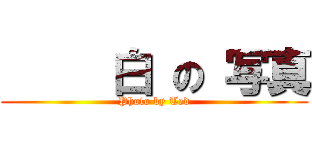     白 の 写真 (Photo by Ted)