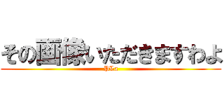 その画像いただきますわよ (PLa)