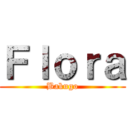 Ｆｌｏｒａ (Bakugo)