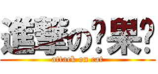 進撃の貓果醬 (attack on cat)