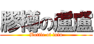 膠樽の盧盧 (Bottle of lulu)