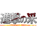 進撃の釆 (attack on titan)