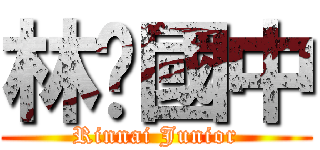 林內國中 (Rinnai Junior)