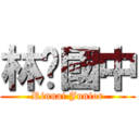 林內國中 (Rinnai Junior)