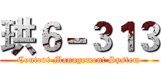 珙６－３１３ (Content Management System)