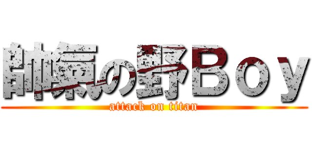 帥氣の野Ｂｏｙ (attack on titan)