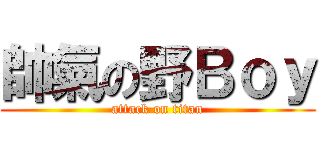 帥氣の野Ｂｏｙ (attack on titan)