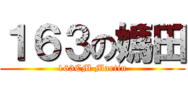 １６３の媽田 (163CM Martin)