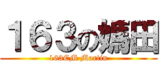 １６３の媽田 (163CM Martin)