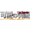 可愛の羽旋 (attack on titan)