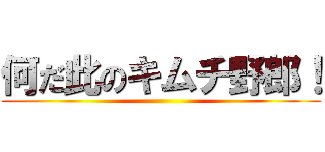 何だ此のキムチ野郎！ ()