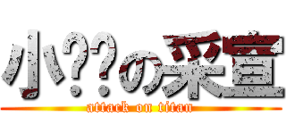 小奶奶の采宣 (attack on titan)