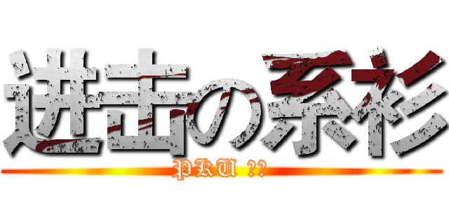 进击の系衫 (PKU 信管)