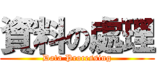資料の處理 (Data Processing)