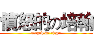 憤怒的の培翰 (attack on titan)