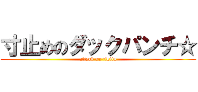 寸止めのダックパンチ☆ (attack on tintin)