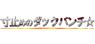 寸止めのダックパンチ☆ (attack on tintin)