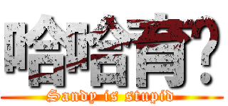 哈哈育姍 (Sandy is stupid)