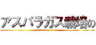 アスパラガス栽培の (attack on titan)