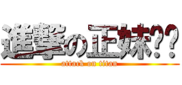 進撃の正妹芮ㄦ (attack on titan)