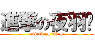 進撃の夜羽酱 (attack on titan)