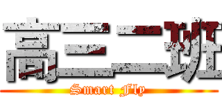 高三二班 (Smart Fly)