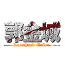 郭金城 (Leonhard Euler)