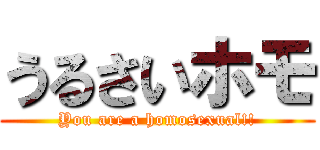 うるさいホモ (You are a homosexual!!)