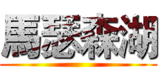 馬瑟森湖 ()