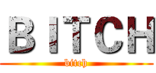 ＢＩＴＣＨ (bitch)