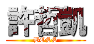 許哲凱 (BOSS)