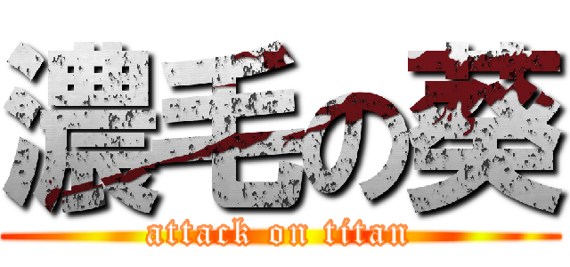 濃毛の葵 (attack on titan)