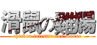 滑鼠の雞腸 (chicken intestine on mouse)