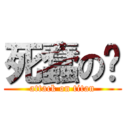 死蠢の娇 (attack on titan)