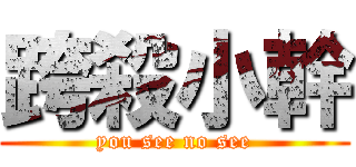 跨殺小幹 (you see no see)