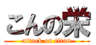 こんの栄 (attack on titan)