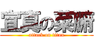 宜真の菜腑 (attack on titan)