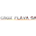 ＣＲＯＸ ＦＬＡＶＡ ＧＡＮＧＺ (DJ NASTY PAK)