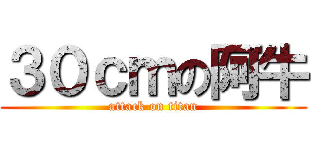 ３０ｃｍの阿牛 (attack on titan)