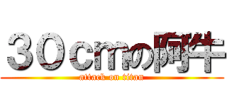 ３０ｃｍの阿牛 (attack on titan)
